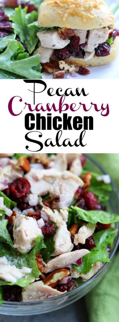 Sidewalk Cafe Style Pecan Cranberry Chicken Salad