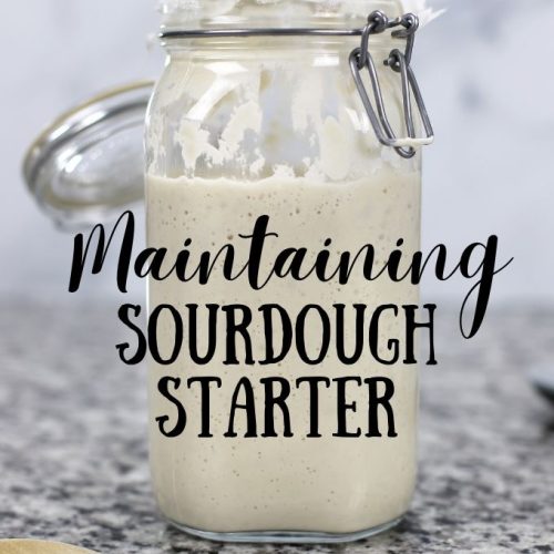 How To Maintain Sourdough Starter For Beginners